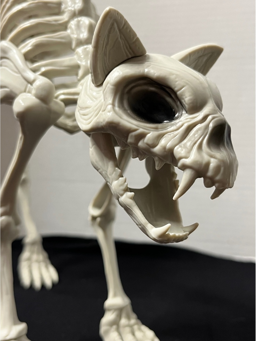 Spooky Cat Skeleton Decor - Perfect for Halloween Vibes